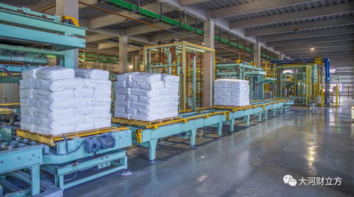 技術突破壁壘，銷量問鼎國內 細分冠軍以國內貿易代理重構增長新格局